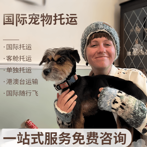 宁德市　国际宠物托运到阿根廷宠物入境规定和要
